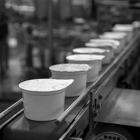 Dairy & Milk Products