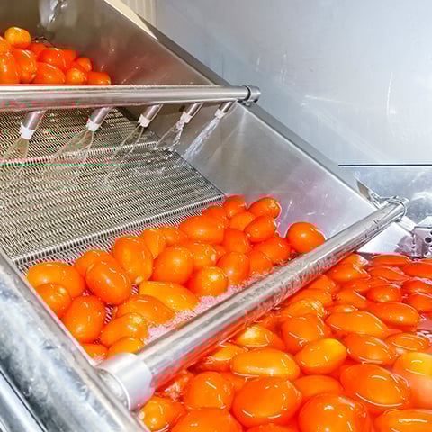 Prepared Foods/Condiments